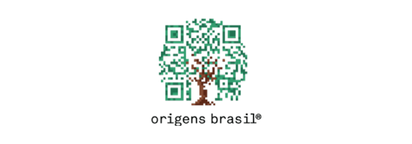 origens brasil